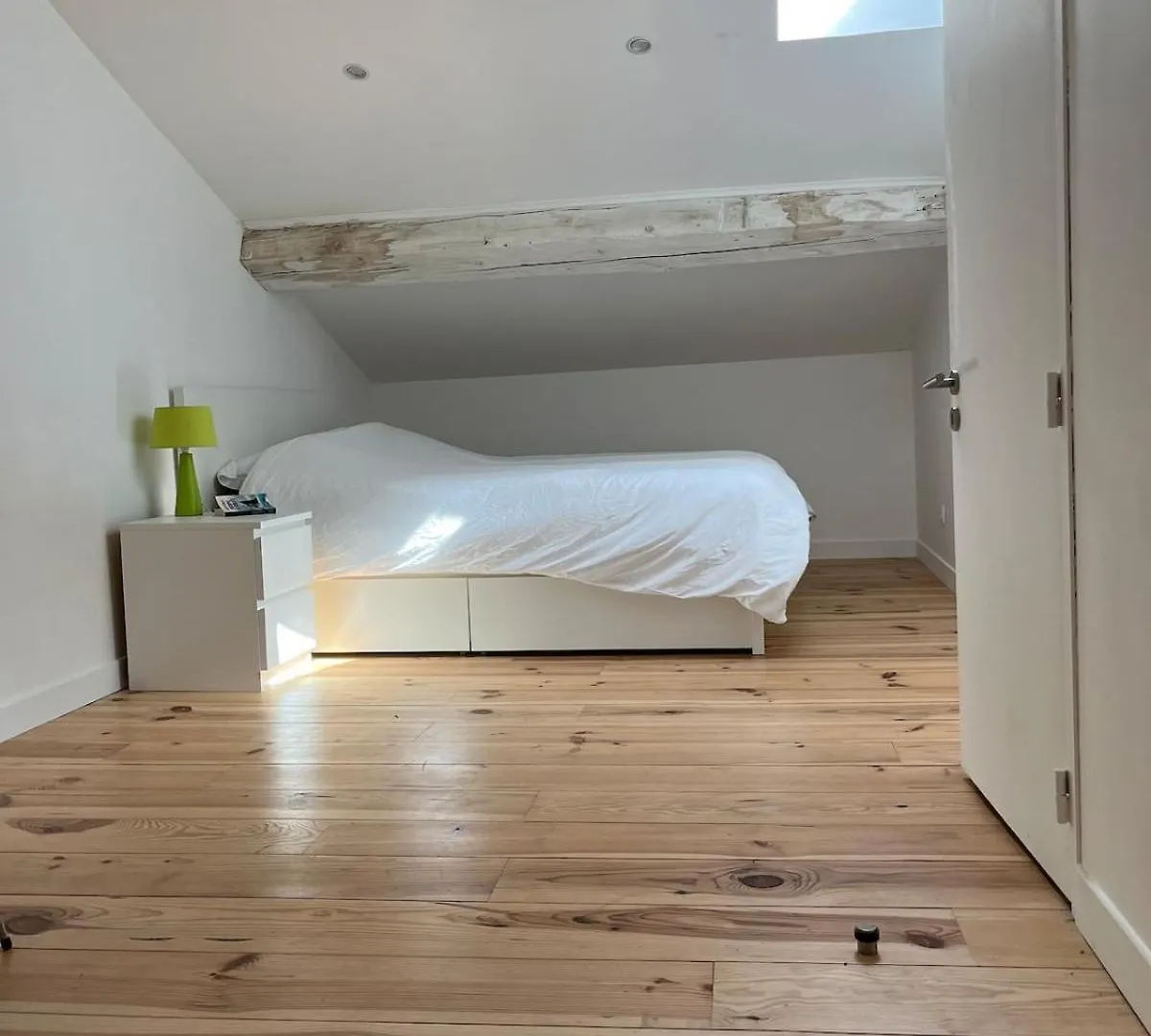 Appartement Duplex Centre Historique Trevoux Apartment